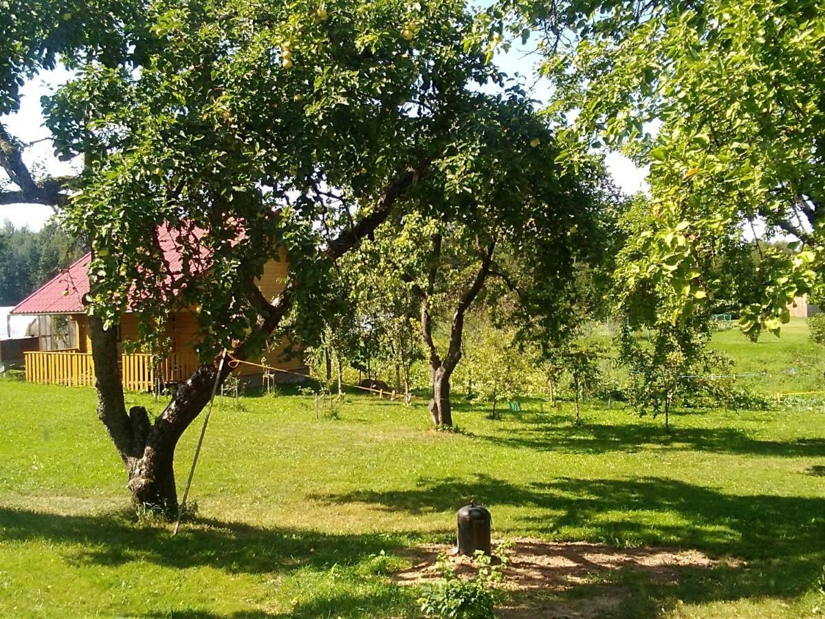 Ceslovos Sodyba Zarasai Exterior photo